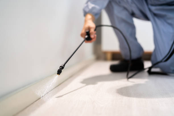 Licensed Fumigation Services service in Marion, MT - Nex Pest Control