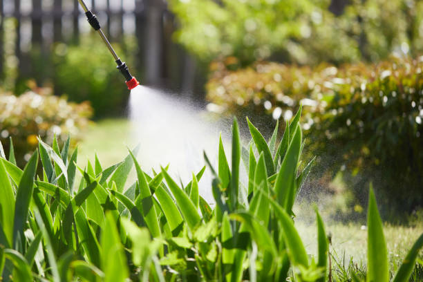 24/7 Emergency Fumigation Services experts in Marion, MT