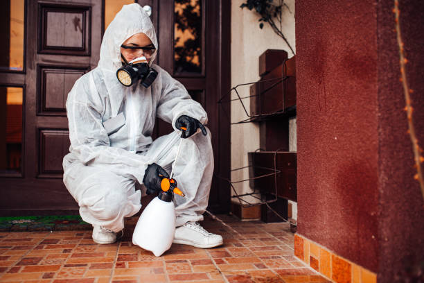 Reliable Fumigation Services contractor in Marion, MT by Nex Pest Control