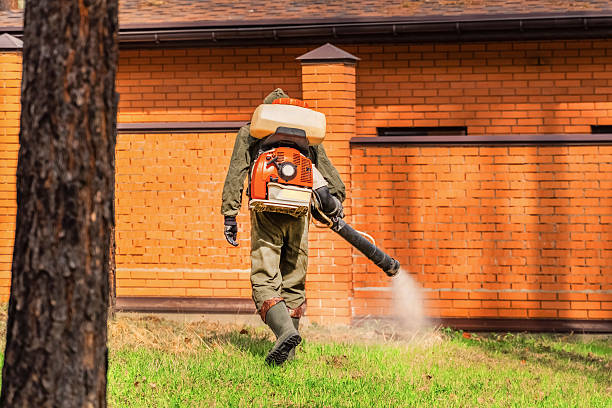 Top rated local Fumigation Services specialists in Marion, MT